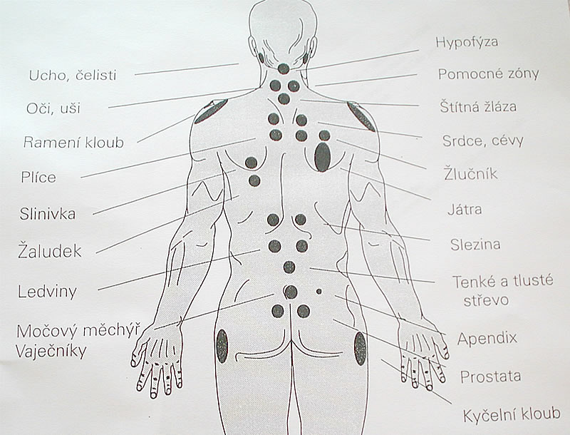 bankovani-vnitrni-organy